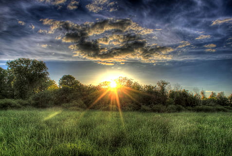 verd, camp de gespa, posta de sol, gespa verda, sol, cel, núvols, naturalesa, paisatge, bosc, escènic, Wisconsin, herba, raig de sol, llum solar, camp, escenics, planta, núvol - cel, medi ambient, terra, escenics - natura, bellesa a la natura, arbre, tranquil·litat, escena tranquil·la, flare de la lent, cap gent, a l'aire lliure, 2K, CC0, domini públic, lliure de regalies
