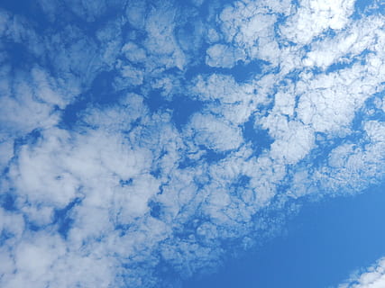 nube, cielo, blu, nuvole di cielo, nuvole di cielo blu, natura, estate, sole, aria, cielo nuvole, cielo blu, cumulo, luce, tempo metereologico, cieli, bianca, deriva, primavera, offuscato, all'aperto, giorno, cirro, chiaro, gonfio, soffice, volante, soleggiato, naturale, Paradiso, tranquillo, nuvola - cielo, bellezza nella natura, scenics - natura, scena tranquilla, la tranquillità, Cloudscape, nessuno, Inquadratura dal basso, Colore bianco, sfondi, meteorologia, idilliaco, ambiente, fotogramma intero, clima, morbidezza, 4K, CC0, dominio pubblico, privo di copyright