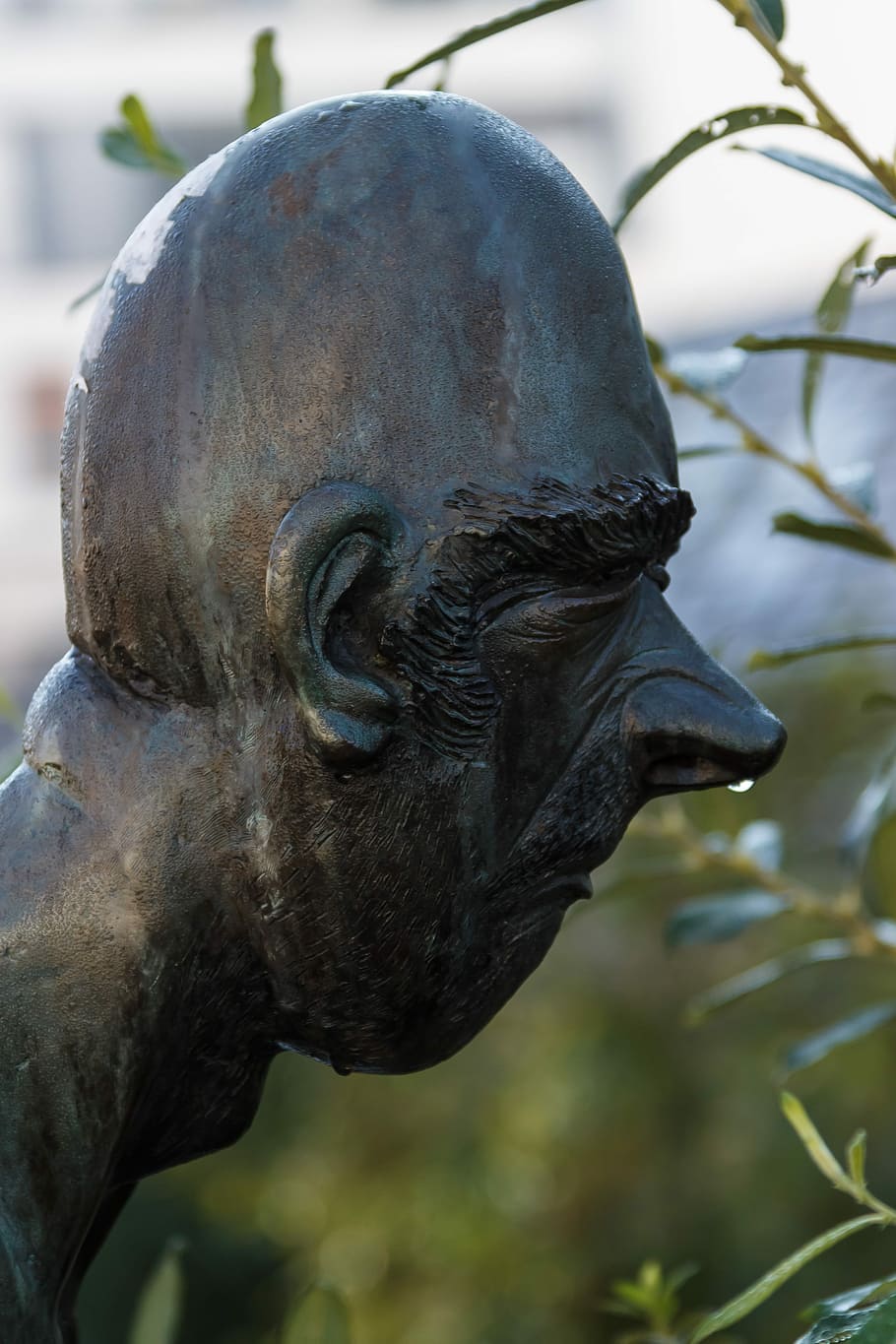cap, nas, degoteig, fred, temps, malalt, temps fred, malaltia, Salut, metge, curar, grip, olorar, millora't aviat, part del cos dels animals, estàtua, cap d’animals, escultura, un animal, primer pla, art i artesania, representació, centrar-se en primer pla, creativitat, cap gent, dia, representació humana, artesania, mamífer, semblança masculina, naturalesa, a l'aire lliure, fauna animal, aliatge de bronze, ornamentat, 4K