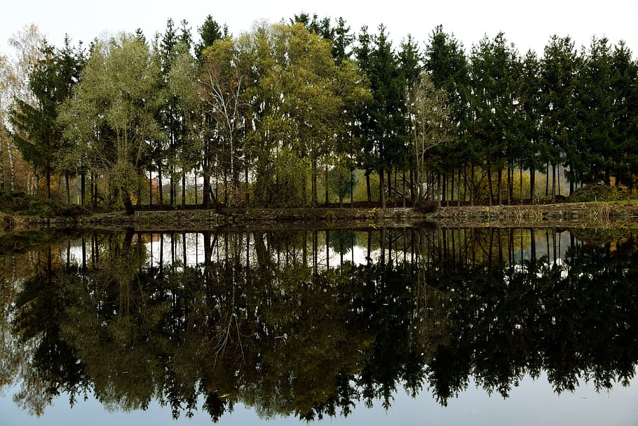 Seeufer, Spiegeln, Bäume, Landschaft, Grün, Wasser, Wasserreflexion, Natur, Mischwald, Herbst, ruhig, immer noch, verlassen, Reflexion, stehendes Wasser, Baum, keine Leute, Pflanze, See, Ruhe, Ufergegend, Wachstum, Schönheit in der Natur, ruhige Szene, Szenen - Natur, Tag, Himmel, Symmetrie, draußen, grüne Farbe, 5K