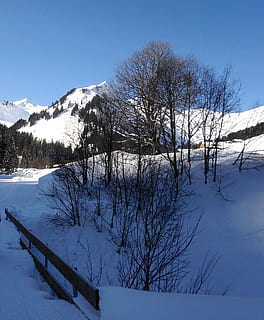 Winter, Schnee, Bäume, kalt, Frost, Berge, Walsertal, Wandern, schneebedeckt, Himmel, Blau, Schatten, Sonne, kalte Temperatur, Baum, kahler Baum, Szenen - Natur, Schönheit in der Natur, Ruhe, Abdeckung, ruhige Szene, Pflanze, Natur, weiße Farbe, Berg, keine Leute, Tag, Umgebung, Nicht-städtische Szene, schneebedeckter Berg, draußen, 2K, CC0, gemeinfrei, lizenzfrei