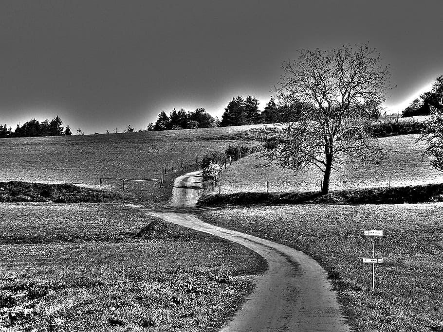 paisatge, naturalesa, fons, prats, herba, flors, bosc, caminar, viatge, relaxació, temporada, txec, República, turisme, arbre, planta, cel, carretera, transport, tranquil·litat, escena tranquil·la, medi ambient, aigua, escenics - natura, direcció, el camí a seguir, dia, cap gent, bellesa a la natura, escena no urbana, camp, a l'aire lliure, 2K