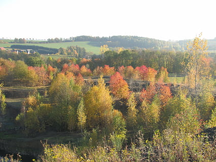 cava, paesaggio, autunno, sfondo, colorato, ottobre, alberi, albero, modificare, pianta, bellezza nella natura, scena tranquilla, la tranquillità, scenics - natura, crescita, natura, giorno, nessuno, cielo, terra, ambiente, colore arancione, cielo sereno, scena non urbana, all'aperto, collezione autunnale, 4K, CC0, dominio pubblico, privo di copyright