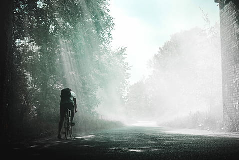 person, riding, sykkel, dagtid, grønn, trær, tre, vei, ryggsekk, sykling, syklist, sti, biker, solstråle, Mann, disig, skygge, Sunray, anlegg, transport, tåke, én person, natur, aktivitet, skjønnhet i naturen, utsikt bakover, fritidsaktivitet, land, livsstil, dag, veien forover, skog, våt, utendørs, regn, 5K, CC0, offentlig domene, opphavsrett gratis