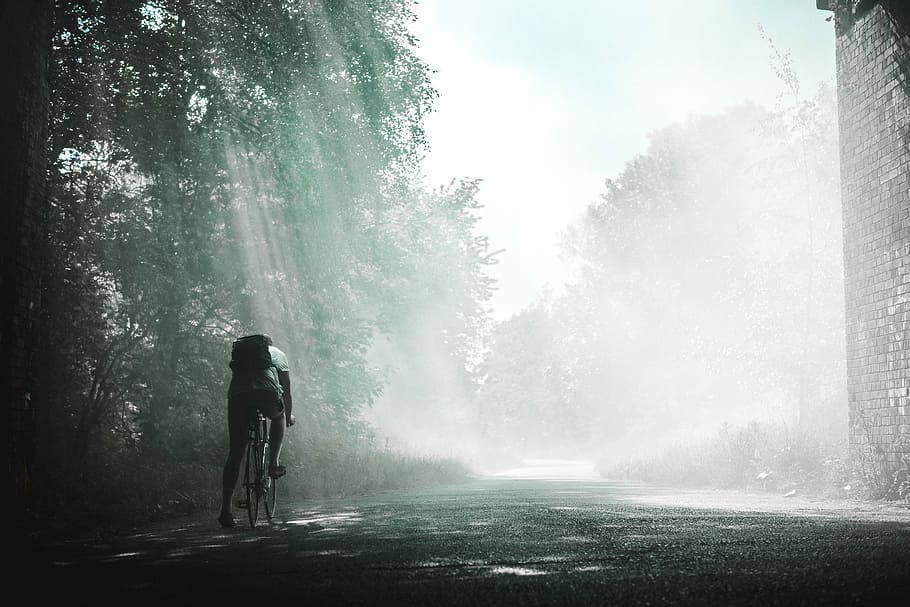 persona, equitazione, bicicletta, giorno, verde, alberi, albero, strada, zaino, Ciclismo, ciclista, pista, motociclista, raggio di sole, uomo, bike, nebbioso, ombra, Sunray, pianta, mezzi di trasporto, nebbia, una persona, natura, attività, bellezza nella natura, retrovisore, attività di svago, terra, stili di vita, la strada davanti, foresta, bagnato, all'aperto, pioggia, 5K