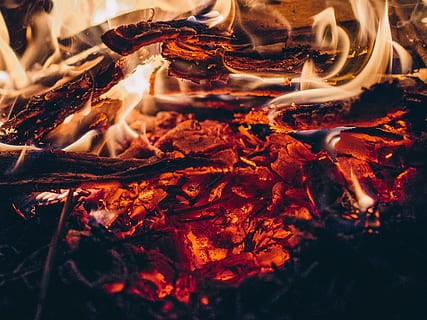 burning fire, burning, fire, flame, heat, heat - temperature, fire - natural phenomenon, bonfire, close-up, no people, orange color, nature, wood - material, campfire, log, glowing, backgrounds, firewood, camping, food and drink, smoke - physical structure, outdoors, 2K, CC0, public domain, royalty free