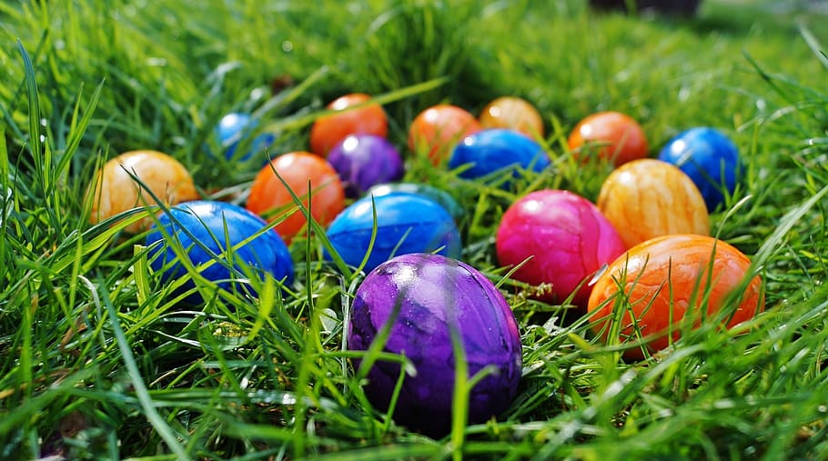 lot de boles de colors assortits, Pasqua, ous, ous de color, primavera, a la gespa, colors, ous de Pasqua, la tradició de, hora de l’est, herba, menjar, planta, menjar i beguda, ou de Pasqua, celebració, naturalesa, ou, multicolor, color verd, cap gent, camp, dia, frescor, terra, primer pla, creixement, festa, a l'aire lliure, porpra, 2K
