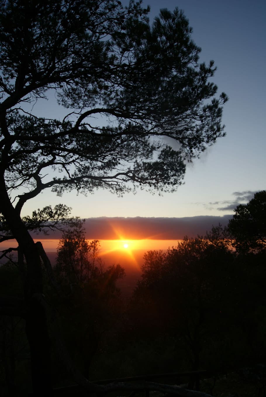 posta de sol, nit, estat d'ànim, mallorca, tarda, humor, a Randa, prop del santuari de la nostra dama solidària, arbre, sol, raig de sol, silueta, llum solar, cel, bellesa a la natura, planta, escenics - natura, tranquil·litat, escena tranquil·la, naturalesa, color taronja, creixement, escena no urbana, a l'aire lliure, flare de la lent, cap gent, idíl·lic, núvol - cel, 4K