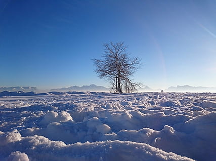 Winter, Baum, Schnee, Berg, Gaisberg, kalt, winterlich, Natur, Blau, Himmel, kalte Temperatur, Szenen - Natur, Landschaft, Schönheit in der Natur, Pflanze, ruhige Szene, Umgebung, Ruhe, gefroren, keine Leute, weiße Farbe, Fernbedienung, Nicht-städtische Szene, Eis, draußen, 2K, CC0, gemeinfrei, lizenzfrei
