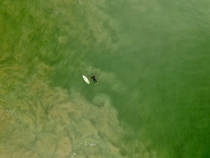 Antenne, Fotografie Person, schwimmend, Meer, neben, Weiß, Tafel, tagsüber, Person, lügen, Karosserie, Wasser, Surfbrett, Surfer, Grün, schweben, Ozean, Drohnenansicht, Luftaufnahme, von oben, Drohne, Surfen, Salz-, Sand, Spritzen, fliegend, Natur, grüne Farbe, Luftfahrzeug, Bewegung, Land, Szenen - Natur, Transport, Tag, Transportmittel, Schönheit in der Natur, Umgebung, Tier, ein Tier, draußen, Reise, keine Leute, 4K, CC0, gemeinfrei, lizenzfrei