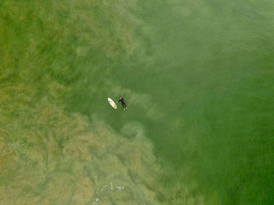 Antenne, Fotografie Person, schwimmend, Meer, neben, Weiß, Tafel, tagsüber, Person, lügen, Karosserie, Wasser, Surfbrett, Surfer, Grün, schweben, Ozean, Drohnenansicht, Luftaufnahme, von oben, Drohne, Surfen, Salz-, Sand, Spritzen, fliegend, Natur, grüne Farbe, Luftfahrzeug, Bewegung, Land, Szenen - Natur, Transport, Tag, Transportmittel, Schönheit in der Natur, Umgebung, Tier, ein Tier, draußen, Reise, keine Leute, 4K
