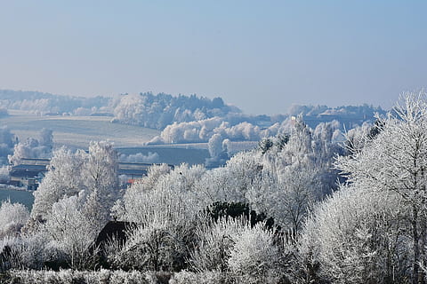 bomen, berg-, bedekt, sneeuw, landschap, winter, hemel, winters, winter bomen, koude, blauw, wit, bevroren, ijzig, ijskoud, rijp, zon, natuur, aesthetisch, vorst, boom, Bos, koude temperatuur, seizoen, ijs-, buitenshuis, Vakantiebestemmingen, fabriek, scenics - natuur, schoonheid in de natuur, dag, geen mensen, milieu, rustige scène, land-, witte kleur, groei, niet-stedelijke scène, kalmte, naaldboom, 5K, CC0, publiek domein, royaltyvrij