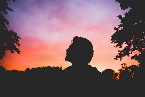silhuet, mand, stående, træer, himmel, solnedgang, mørk, planter, udendørs, mennesker, natur, en person, hovedskud, portræt, skønhed i naturen, plante, fritidsaktivitet, træ, sky - himmel, ro, livsstil, zen-lignende, barn, spiritualitet, religion, 4K, CC0, offentligt domæne, royaltyfrie
