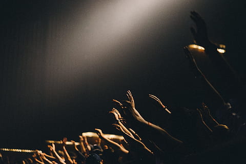 grupo, gente, ondulación, manos, fotografía, levantamiento, oscuro, hormigón, edificio, enfoque selectivo, aficionados, en concierto, noche, iluminado, nadie, adentro, la vida nocturna, de cerca, naturaleza, luz - fenómeno natural, cielo, gente real, al aire libre, belleza en la naturaleza, disfrute, planta, divertido, cultura de las artes y entretenimiento, 5K, CC0, dominio público, libre de derechos