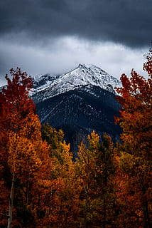 brun, leafed, trær, front, snø, dekket, fjell, skyet, himmel, dagtid, skyer, blader, blad, høst, falle, topp, toppmøte, Sky, tåke, storm, svart, hvit, tre, skjønnhet i naturen, naturskjønnhet - natur, anlegg, sky - himmel, kaldtemperatur, rolig scene, vinter, natur, ro, ingen folk, endring, snødekte fjell, ikke-urbane scene, land, utendørs, fjelltopp, høstsamling, nåletre, 5K, CC0, offentlig domene, opphavsrett gratis