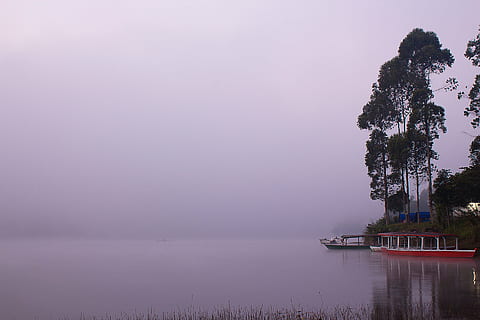 photo, red, boat, trees, nature, landscape, water, river, lake, fog, travel, adventure, tree, sunset, reflection, outdoors, plant, sky, beauty in nature, nautical vessel, tranquility, transportation, scenics - nature, mode of transportation, tranquil scene, no people, waterfront, purple, 1080P