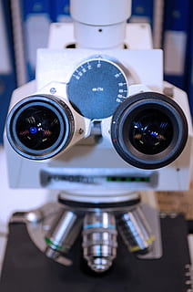 white microscope, microscope, white, chemistry, microscopy, expensive, stereo, tool, biotechnology, equipment, scientific, object, research, biology, science, professional, laboratory, technology, close-up, lens - optical instrument, photography themes, focus on foreground, camera - photographic equipment, no people, surveillance, still life, indoors, binoculars, lens - eye, circle, security, shape, day, geometric shape, photographic equipment, industry, silver colored, digital camera, 1080P, CC0, public domain, royalty free