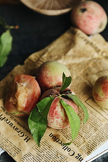 ferskenfrukt, avis, tre runde frukter, frukt, fersken, spise sunt, mat og Drikke, mat, friskhet, velvære, nærbilde, blad, stilleben, plante del, høy vinkel visning, ingen folk, tekst, eple - frukt, container, bord, innendørs, papir, kurv, dag, moden, 2K, CC0, offentlig domene, opphavsrett gratis