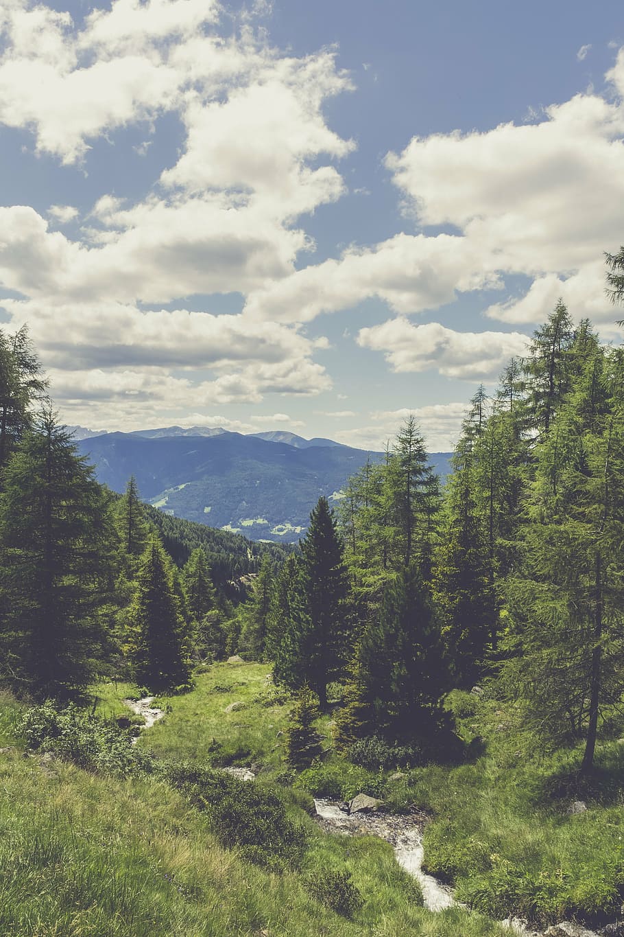 més, destinació, vista, punt de vista, muntanya, oci, altiplà, llocs d'interès, turisme, festa, senderisme, alpinisme, naturalesa, parc natural, bosc, camps, paisatge, rock, vista llunyana, previsió, muntanyes, arbres, Tirol del sud, alpí, dolomites, Itàlia, nord d'Itàlia, pragser wildsee, llac de muntanya, llac glacial, núvol - cel, planta, arbre, escenics - natura, bellesa a la natura, cel, escena tranquil·la, tranquil·litat, color verd, escena no urbana, dia, terra, medi ambient, creixement, cap gent, idíl·lic, a l'aire lliure, pi, arbre de coníferes, 5K