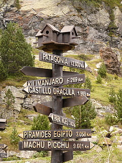 træ patognia retning, træ-, retning, vejskilte, voliere, nesting kasse, skjold, natur, væk, helt vildt, orientering, placeringer, Beliggenhed, fugl, race, rede, æg, kyllinger, tekst, rock-objekt, ingen mennesker, klint, bygget struktur, dag, meddelelse, skilt, vestlige script, arkitektur, vejledning, plante, jord, rejse, træ, pil symbol, klippe, solid, udendørs, retningssignal, 2K, CC0, offentligt domæne, royaltyfrie