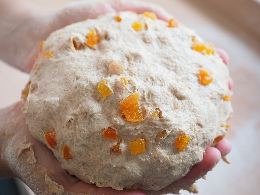 brød, bage din egen, bage, ælte, dej, abrikosbrød, aprikosentückchen, frugt brød, selv bagt, bondens brød, hjemmelavet, bager, Bagværk, håndværk, basisfødevarer, ernæring, mad og drikke, tæt på, fokus på forgrunden, ingen mennesker, sødt mad, indendørs, mad, friskhed, dag, klar til at spise, usund spisning, stilleben, overbærenhed, sød, dessert, mejeriprodukt, bagt, høj vinkel visning, asiatisk mad, æg, fristelse, snack, lille gruppe af objekter, 4K