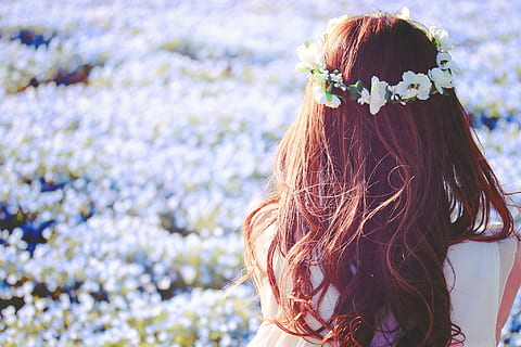 Frau, tragen, Weiß, Blumenkranz, neben, Blühen, Blumenfeld, tagsüber, weiße Blume, Kranz, Feld, draußen, Natur, Menschen, Sommer-, Frauen, eine Person, Schönheit, Erwachsene, wunderschönen, Blume, kaukasischer Abstammung, junger Erwachsener, lange Haare, süß, Lebensstile, lächelnd, Porträt, Kopfschuss, Rückansicht, nur eine frau, nur Frauen, Frisur, blühende Pflanze, Haar, Pflanze, Tag, braune Haare, echte Menschen, Rothaarige, Stehen, Frische, Blumen tragen, Blütenkopf, menschliches Haar, schöne Frau, 1080P, CC0, gemeinfrei, lizenzfrei