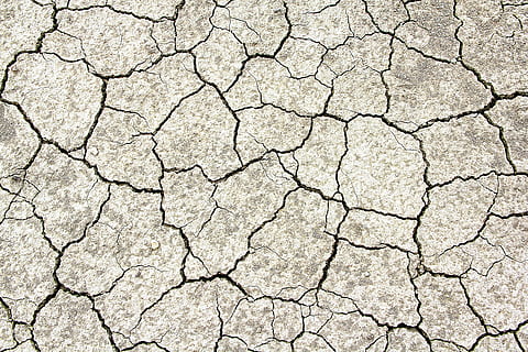 dried crack soil, texture, cracks, structure, background, weathered, pattern, cracked, drought, brittle, dry, land, nature, desert, dirt, climate, arid Climate, mud, backgrounds, heat - Temperature, environment, barren, warming Up, natural Disaster, textured, global Warming, clay, full frame, environmental issues, scenics - nature, day, no people, natural pattern, outdoors, 5K