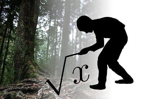 square roots, math, root, x, unknown, tree, one person, silhouette, full length, land, forest, lifestyles, side view, real people, bending, men, standing, text, non-urban scene, nature, plant, day, outdoors, adult, 2K, CC0, public domain, royalty free