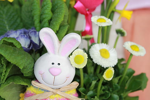 llebre, primavera, flors, Pasqua, primavera, flors, ou de Pasqua, celebració, cultures, representació animal, tradició, representació, conill de Pasqua, planta, festa, flor, planta amb flors, art i artesania, ou, primer pla, naturalesa, color rosa, cap gent, menjar, cap de flor, 4K, CC0, domini públic, lliure de regalies