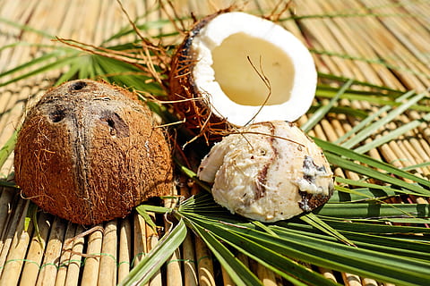 Batok kelapa, Daun-daun, kelapa, kacang, kulit, coklat, bubur, eksotik, makanan, merapatkan, makan sehat, makanan dan minuman, tidak ada orang, kesejahteraan, fokus pada latar depan, alam, kesegaran, menanam, masih hidup, hari, buah, bahan kayu, singkatnya, daun, kacang - makanan, 4K, CC0, domain publik, bebas royalti
