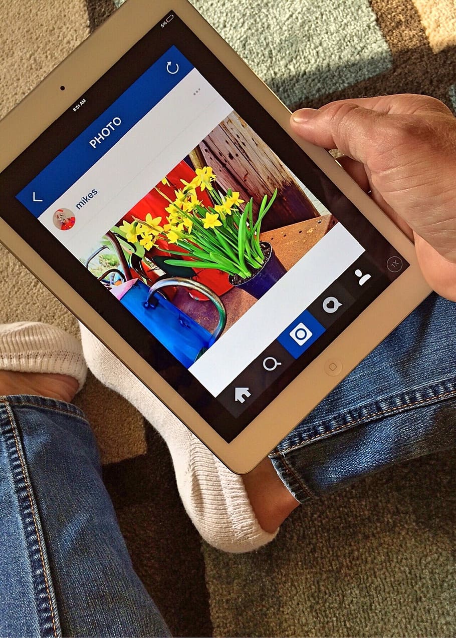 persona, celebració, ipad de plata, ipad, instagram, Internet, digital, social, tecnologia, en línia, tauleta digital, pantalla tàctil, mà humana, una persona, persones reals, part del cos humà, vista d’angle alt, mà, activitat d'oci, estils de vida, roba casual, a l'interior, naturalesa, planta, homes, comunicació, directament a sobre, taula, dia, texans, 2K