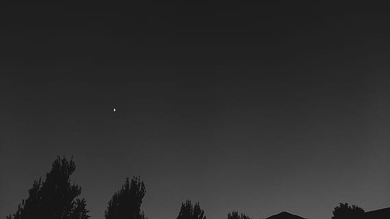 cahaya, pemandangan, langit, gelap, gerhana, malam, bulan, di luar rumah, bayangan hitam, pohon, keindahan di alam, menanam, ketenangan, scenics - alam, tampilan sudut rendah, adegan yang tenang, menyalin ruang, alam, ruang, tidak ada orang, astronomi, langit cerah, idilis, bintang - ruang, sinar bulan, bulan planet, 4K, CC0, domain publik, bebas royalti