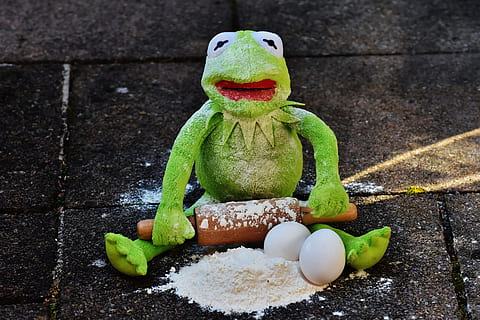 kermit, fırında pişirmek, oklava, Yumurta, un, malzemeler, HAZIRLAMA, hazırlık, açarak yaymak, kurbağa, komik, sevimli, hayvan temsili, temsil, Gıda, yiyecek ve içecek, insansız, yeşil renk, hayvan, kutlama, yaratıcılık, kapatmak, hayvan temaları, tatil, Sanat ve zanaat, içeriye, din, oyuncak, doğa, natürmort, 5K, CC0, kamu malı, telif ücretsiz