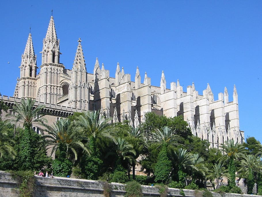 catedral, mallorca, catedral, mallorca, Palmera, destinacions de viatge, història, religió, arquitectura, arbre, cel, exterior de l'edifici, estructura construïda, planta, clima tropical, naturalesa, cel clar, lloc de culte, creença, edifici, el passat, dia, espiritualitat, blau, a l'aire lliure, cap gent, palmera de coco, 720P