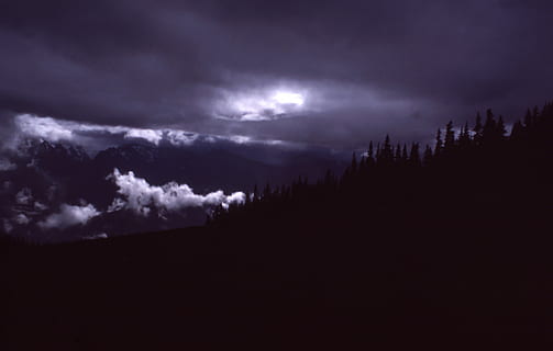 silhouette of trees, dark, night, clouds, sky, trees, nature, shadow, thunderstorm, storm, storm cloud, dramatic sky, weather, cloud - sky, ominous, environment, beauty in nature, overcast, cloudscape, scenics - nature, silhouette, spooky, landscape, no people, forest, power in nature, outdoors, meteorology, pine tree, 4K, CC0, public domain, royalty free