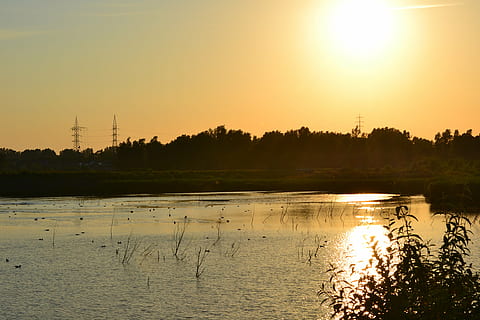 joki, luonto, puu, metsä, vihreä, aurinkoinen päivä, maisema-arkkitehdit, auringonlasku, teatteri, valo, heijastus, lisää, vesi, taivas, maisemat - luonto, kauneus luonnossa, tyyneys, järvi, rauhallinen kohtaus, kasvi, oranssi väri, aurinko, ei ihmisiä, auringonvalo, ei-kaupunkikuvia, siluetti, idyllinen, ulkona, sähkö, 4K, CC0, public domain, rojaltivapaa