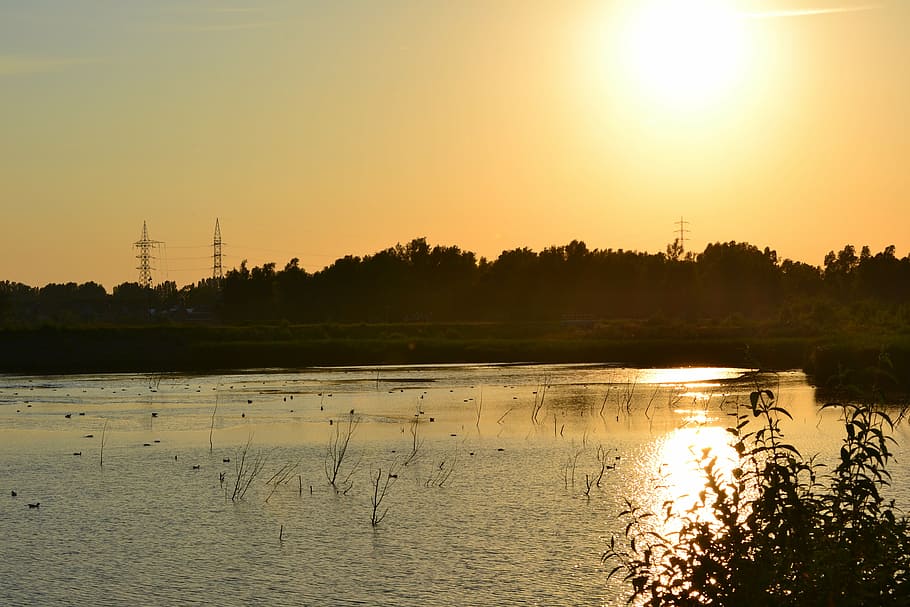 flod, natur, træ, Skov, grøn, solskinsdag, landskabsarkitekter, solnedgang, teater, lys, afspejling, mere, vand, himmel, scenics - natur, skønhed i naturen, ro, sø, rolig scene, plante, orange farve, sol, ingen mennesker, sollys, ikke-urbane scene, silhuet, idyllisk, udendørs, elektricitet, 4K