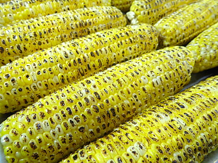closeup, photo, corns, corn, grilled, corn cob, maize cob, corn kernels, ears, food, eat, maize, yellow, backgrounds, close-up, food and drink, healthy eating, freshness, wellbeing, vegetable, no people, full frame, still life, green color, large group of objects, abundance, for sale, group of objects, in a row, stack, sweetcorn, 4K, CC0, public domain, royalty free
