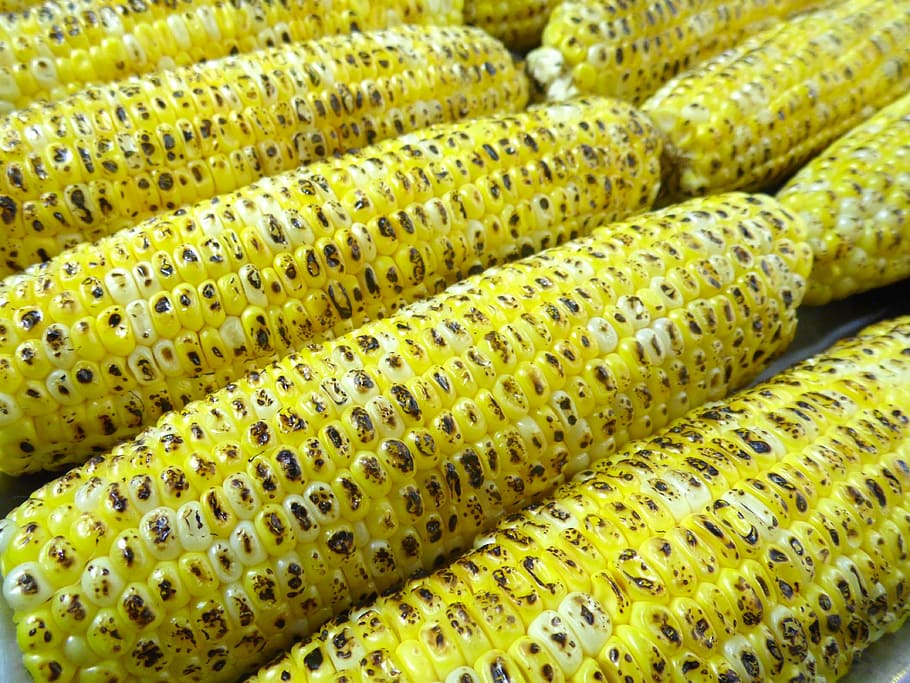 primer pla, foto, blat de moro, a la graella, panotxa de blat de moro, cobert de blat de moro, grans de blat de moro, orelles, menjar, groc, fons, menjar i beguda, alimentació saludable, frescor, benestar, vegetals, cap gent, marc complet, natura morta, color verd, gran grup d'objectes, abundància, a la venda, grup d'objectes, en fila, pila, blat de moro dolç, 4K