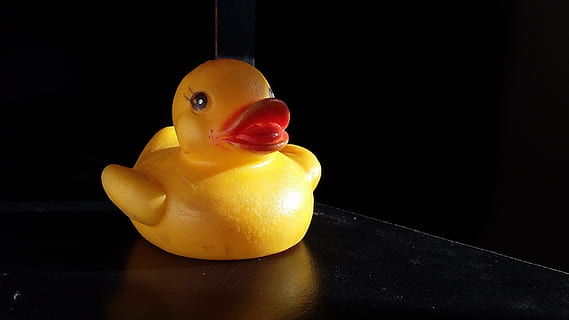 eend, dramatisch, schaduw, toneel-, donker, geel, voedsel, rubberen eend, speelgoed-, binnenshuis, enkel object, dierlijke representatie, detailopname, vertegenwoordiging, geen mensen, dierlijke thema's, water, dier, gevogelte, rood, vogel, plastic, studio opname, zwarte achtergrond, 2K, CC0, publiek domein, royaltyvrij