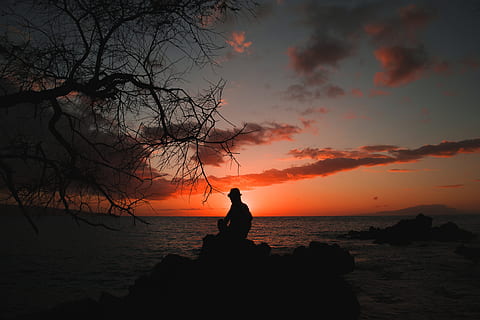 silouhette, Persones assegudes, pedres, darrere, cos, aigua, retroil·luminat, platja, núvols, vespre, tarda, paisatge, home, naturalesa, oceà, a l'aire lliure, persona, reflexió, roques, escènic, mar, paisatge marí, vora del mar, seient, silueta, cel, sol, posta de sol, arbre, bellesa a la natura, color taronja, escenics - natura, una persona, persones reals, rock - object, rock, sòlid, núvol - cel, activitat d'oci, tranquil·litat, estils de vida, horitzó sobre l’aigua, 4K, CC0, domini públic, lliure de regalies