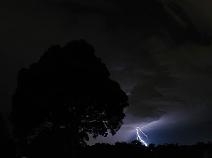 fotografering, silhuetter, træ, foran, lynbolt, silhuet træ foto, nattetid, vejr, lyn, blitz, tordenvejr, torden, storm, sky - himmel, himmel, skønhed i naturen, nat, magt i naturen, strøm, natur, silhuet, ingen mennesker, scenics - natur, storm sky, advarselsskilt, plante, dramatisk himmel, udendørs, mørk, ildevarslende, 1080P, CC0, offentligt domæne, royaltyfrie