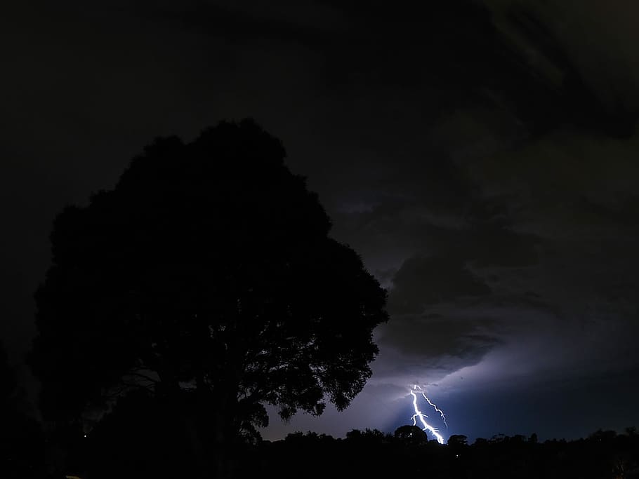 fotografering, silhuetter, træ, foran, lynbolt, silhuet træ foto, nattetid, vejr, lyn, blitz, tordenvejr, torden, storm, sky - himmel, himmel, skønhed i naturen, nat, magt i naturen, strøm, natur, silhuet, ingen mennesker, scenics - natur, storm sky, advarselsskilt, plante, dramatisk himmel, udendørs, mørk, ildevarslende, 1080P