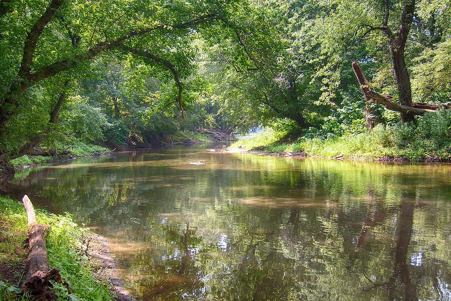 kalmte, water, groen, bos overdag, rivier-, bomen, landschap, natuur, zomer, boom, fabriek, schoonheid in de natuur, meer, Bos, groei, reflectie, scenics - natuur, rustige scène, groene kleur, land-, geen mensen, dag, niet-stedelijke scène, idyllisch, buitenshuis, 2K