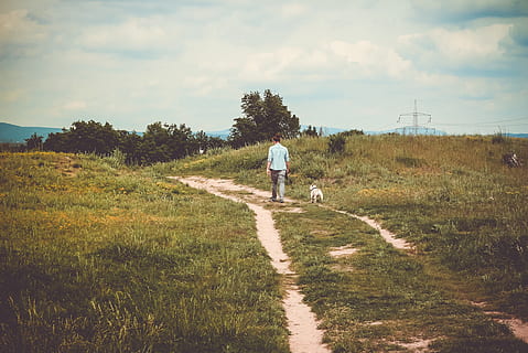 woman, white, dog, walking, green, grass, path, trees, plants, nature, highland, people, pet, animal, blue, sky, rear view, plant, full length, real people, land, one person, men, cloud - sky, tree, lifestyles, day, field, the way forward, leisure activity, beauty in nature, outdoors, trail, 5K, CC0, public domain, royalty free