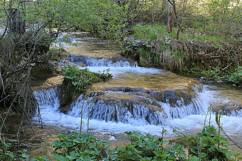 kaskad, natur, plitvice, vatten, växt, träd, skönhet i naturen, flödande vatten, flod, skog, scenics - natur, miljö, rörelse, landa, inget folk, lugn, tillväxt, icke-urbana scenen, vattenfall, lugn plats, idyllisk, strömmande, utomhus, strömmande vatten, 5K, CC0, offentligt domän, royaltyfria