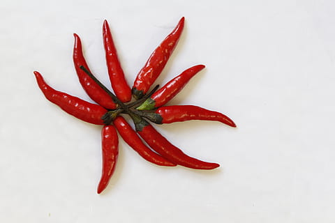 feferón, paprika, vaření, koření, chilli papričky, Červené, pepř, jídlo a pití, jídlo, zeleniny, červené chilli papričky, svěžest, přísada, vysoký úhel pohledu, stálý život, detail, uvnitř, nikdo, blahobyt, studio shot, přímo nad, bílé pozadí, Zdravé stravování, 1080P, CC0, veřejná doména, bez autorských práv