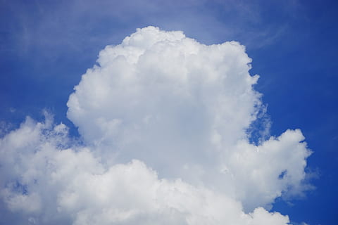 nori, cloudformation, cer, alb, albastru, cumulus, forme de nori, nor de buchet de, cumulus nori, vreme, fenomenul meteorologic, atmosfera, fenomen meteorologic, climat, nor - cer, frumusețe în natură, culoare alba, nici o persoana, Cloudscape, liniște, scenice - natura, fundaluri, o scenă liniștită, natură, idilic, vedere unghiulară joasă, zi, în aer liber, pufos, moliciune, mediu inconjurator, meteorologie, 5K, CC0, domeniu public, fără drepturi de autor