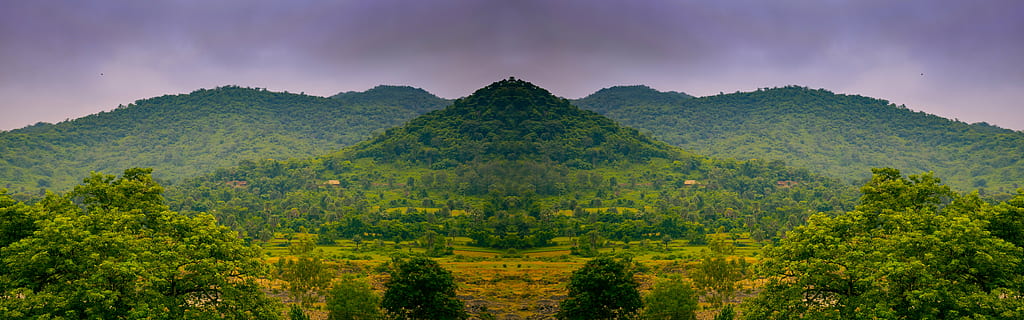 aèria, fotografia, verd, fulles, bosc, panorama, costat, arbre, llarg, núvol, cel, paisatge, naturalesa, rural, camp, horitzontal, ningú, pacífica, sòl, lloc, muntanya, tardor, a l'aire lliure, escenics, planta, medi ambient, terra, color verd, fullatge, escenics - natura, bellesa a la natura, exuberant fullatge, cap gent, panoràmica, selva tropical, núvol - cel, pluja tropical, 8K, CC0, domini públic, lliure de regalies