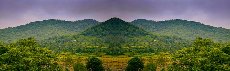 aèria, fotografia, verd, fulles, bosc, panorama, costat, arbre, llarg, núvol, cel, paisatge, naturalesa, rural, camp, horitzontal, ningú, pacífica, sòl, lloc, muntanya, tardor, a l'aire lliure, escenics, planta, medi ambient, terra, color verd, fullatge, escenics - natura, bellesa a la natura, exuberant fullatge, cap gent, panoràmica, selva tropical, núvol - cel, pluja tropical, 8K